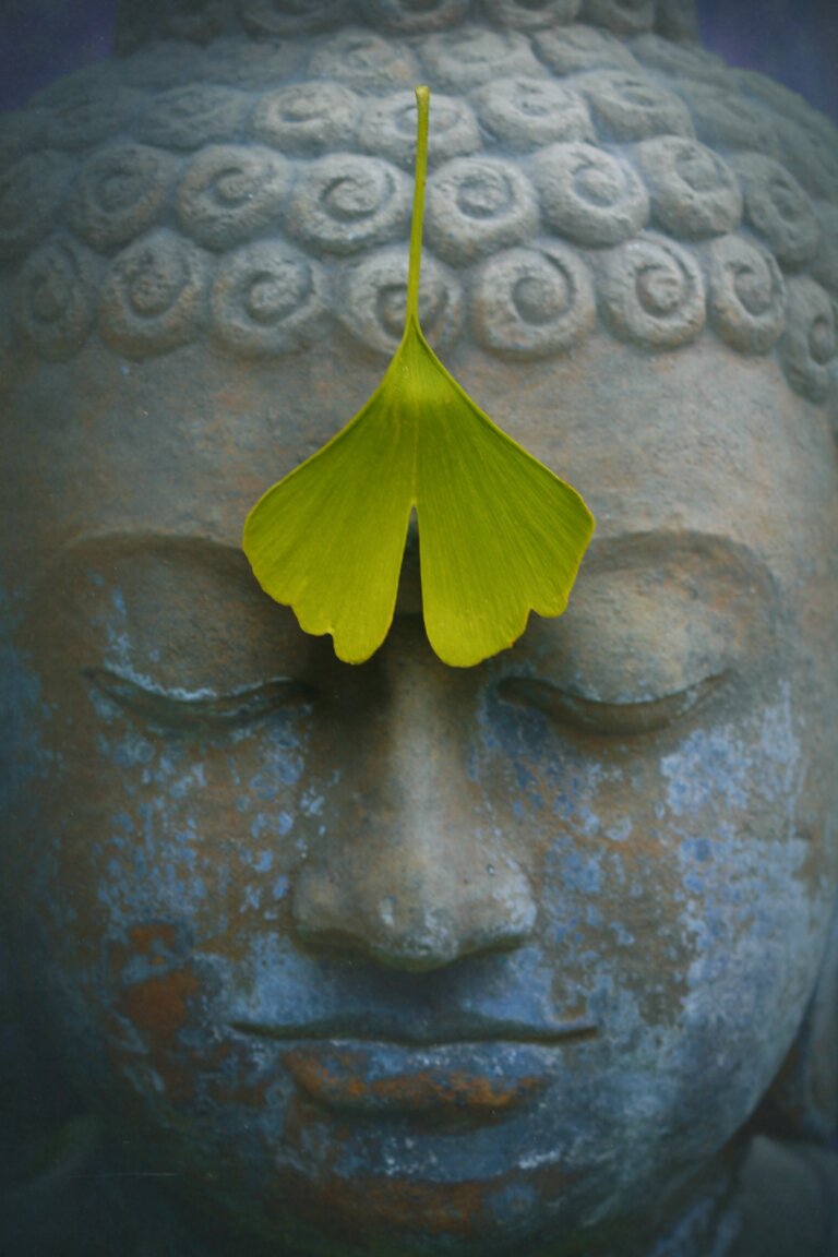 Tête de statue de Bouddha avec une feuille de gingko pour arrière-plan du site de L'Embellie Sophro, sophrologue et orthopédagogue à Mouchin, Pévèle